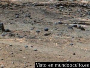 Una posible esfera extraterrestre es captada por la Curiosity Rover