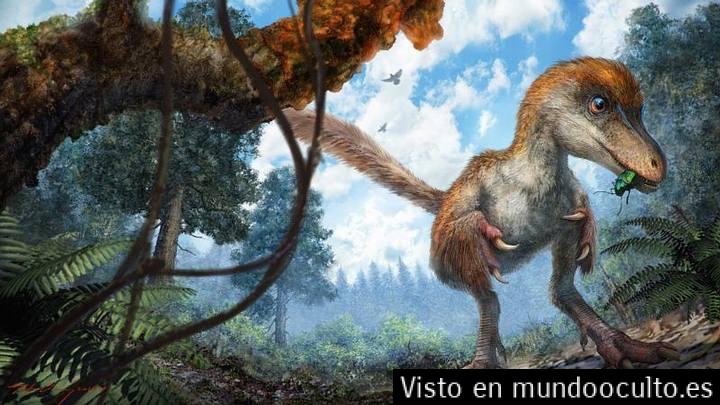 Los Dinosaurios y la Gravedad   Mundo oculto