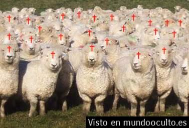 christian sheep[1]